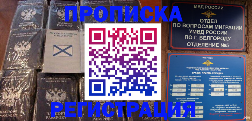 прописка гарантия в Сафоново